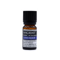 Lavender Essential Oil – 10ml