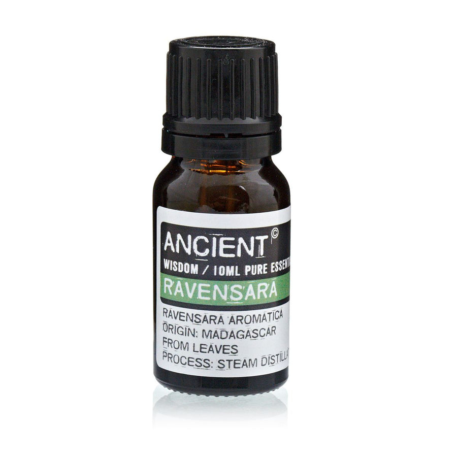 Ravensara Essential Oil – 10ml